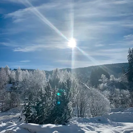 Appartement Ferienwelt Bogensperger Mariapfarr